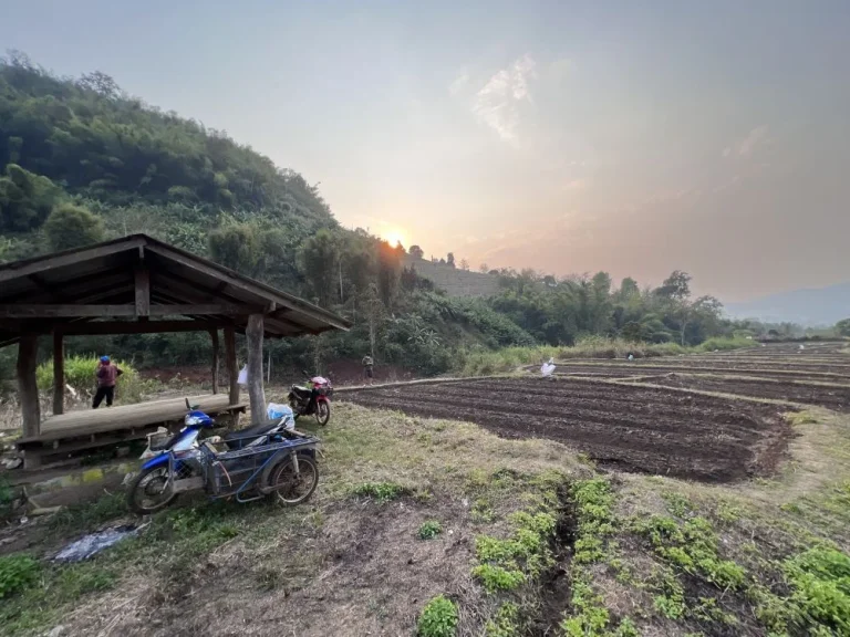 ขายที่ดินติดลำธาร สะเมิงเหนือ บ้านป้อก เชียงใหม่