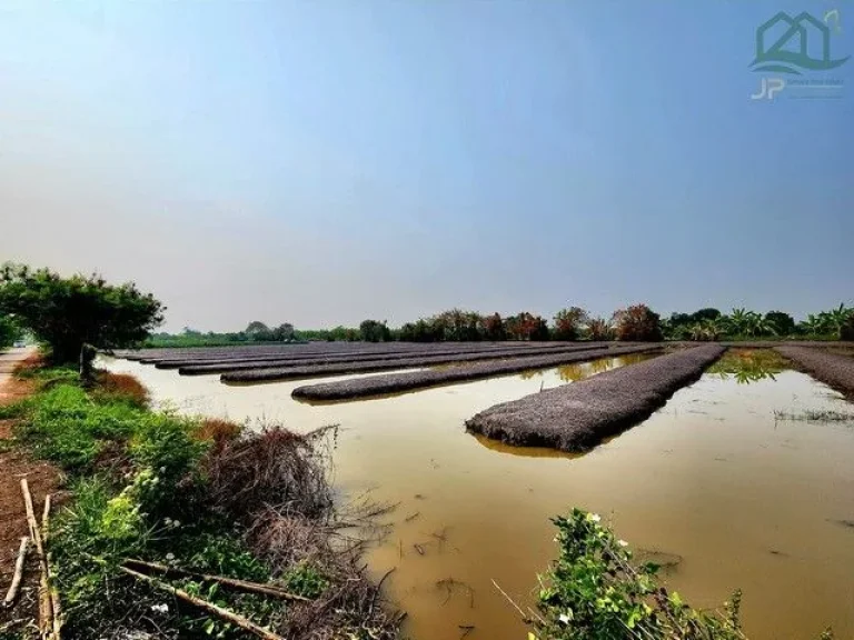 ขายที่ดินคลอง 12 หนองเสือ 14 ไร่ ติดถนนลาดยางในซอย