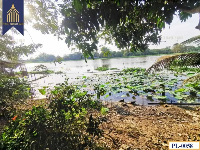 ที่ดินติดแม่น้ำท่าจีน ห้วยพลู นครชัยศรี นครปฐม ทำเลดี