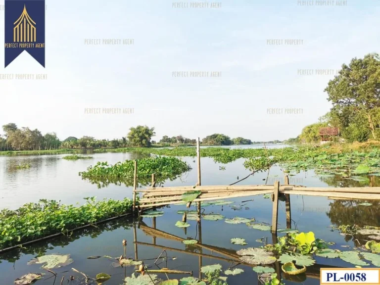 ที่ดินติดแม่น้ำท่าจีน ห้วยพลู นครชัยศรี นครปฐม ทำเลดี