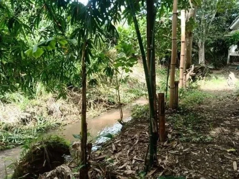 ที่ดินแปลงสวยเชิงดอยสุเทพ ติดคูเมืองเก่าแก่ที่สุดในเชียงใหม