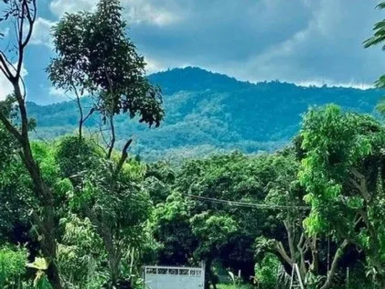 ที่ดินแปลงสวยเชิงดอยสุเทพ ติดคูเมืองเก่าแก่ที่สุดในเชียงใหม