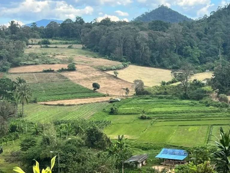 ขายที่ดิน สะเมิงเหนือ บ้านปางเติม เนินเขาวิว360องศา