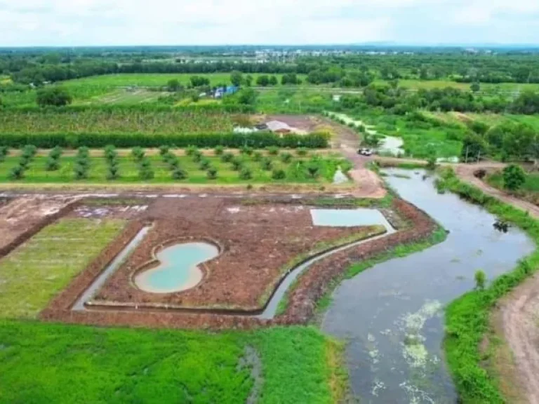 ที่ดินเงินผ่อนคลอง14 เริ่ม 200 ตรว หนองเสือ ปทุมธานี