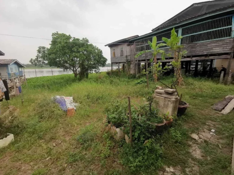 ขายที่ดินริมแม่น้ำเจ้าพระยา พร้อมบ้านไทย 3 หลัง 150 ตรว