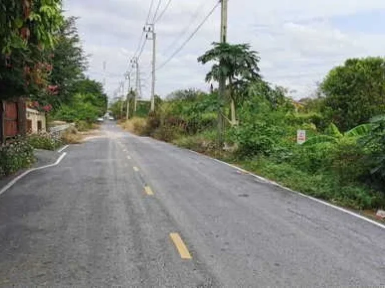 ขายที่ดินยังไม่ถมเจ้าของขายเองจังหวัดนนทบุรี อำเภอไทรน้อย