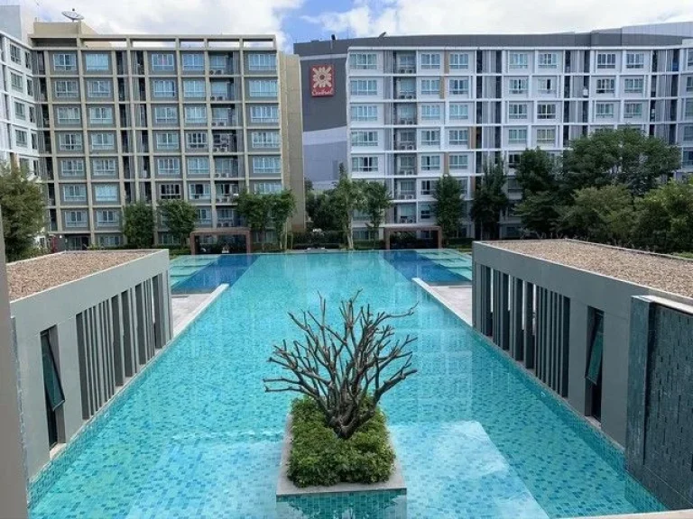 เรียนเชิญทุกท่านมาลงทุนกับ D Condo Sing Chiang Mai