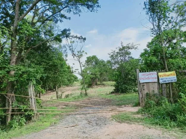 ขายที่ดินตัวเมืองชัยภูมิ เกือบ 19 ไร่ บรรยากาศดี ที่สวย