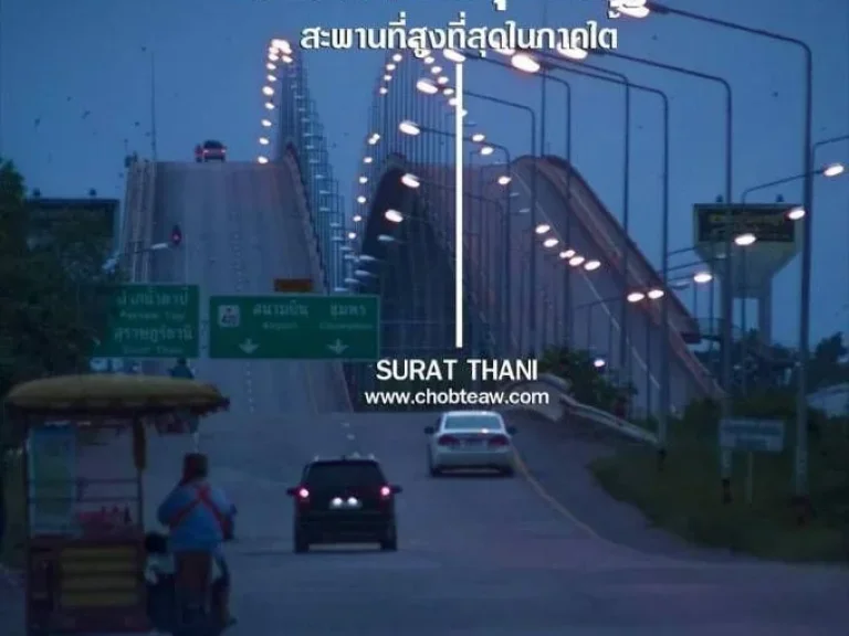 ขายที่ดิน 20 ไร่ บางไทร สุราษฎร์ธานี เจ้าของขายเอง