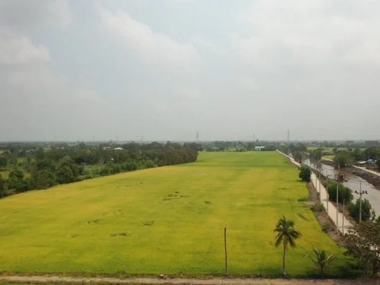 ขาย ที่ดิน ตำบลบ้านแถว อำเภอเสนา จพระนครศรีอยุธยา ติดคลอง