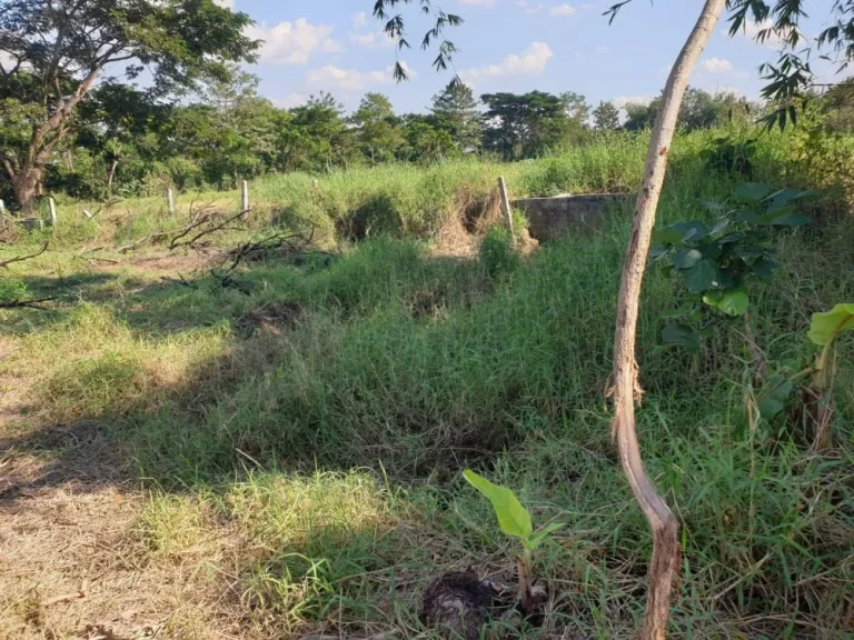 ขายที่ดินตำบลท่าวังทอง อำเภอเมืองพะเยา จังหวัดพะเยาเนื้อที่