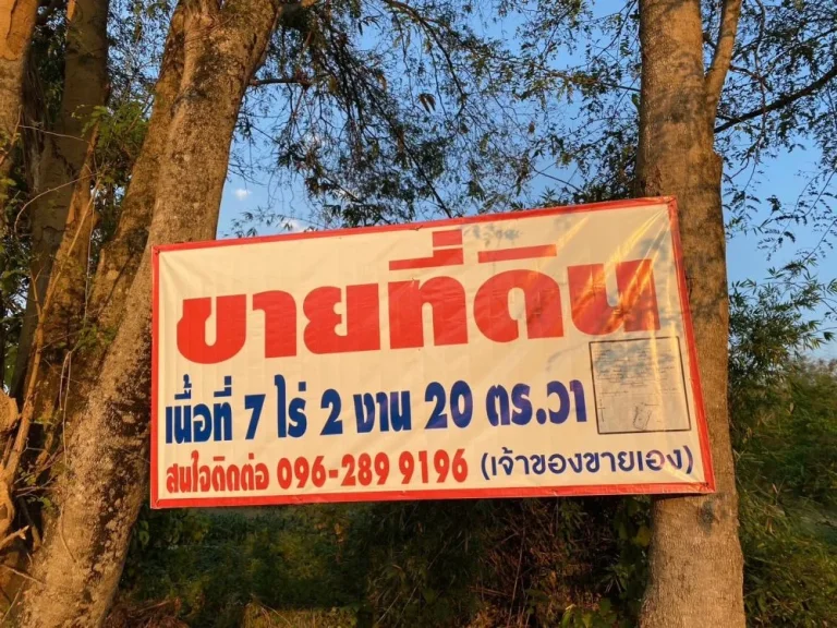 ขายที่ดิน เนื้อที่ 7 ไร่ 2 งาน บ้านโป่งตื้ด ตป่าสัก