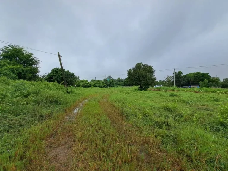 ขายที่ดินทำเลทองติดถนนใหญ่ อหางดง จเชียงใหม่ 