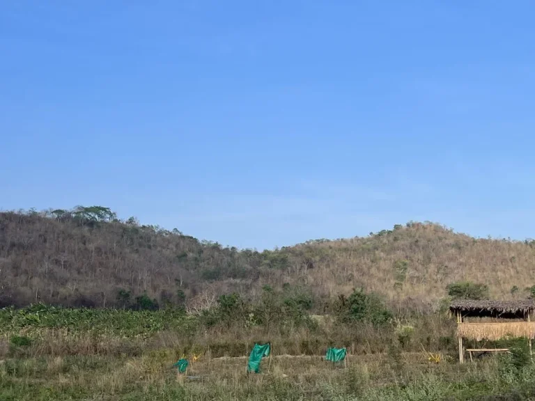 ที่ดิน ติดลำห้วย หลังพิงเขา เหมาะสำหรับนักลงทุนที่ต้องการเกร