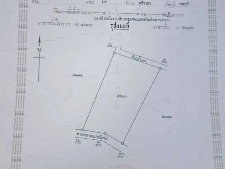 ขายที่ดินสวย 8ไร่ ติดถนน ใกล้ถนนใหญ่ ใกล้หมู่บ้านแหล่งชุมชน