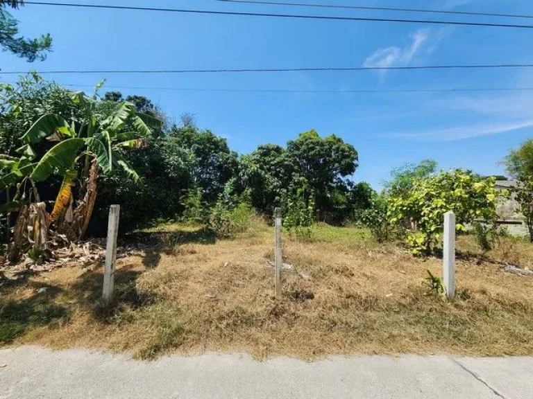 ขายด่วน ที่ดินพัทยาใต้ 100 ตรว ซสุขุมวิทพัทยา 46