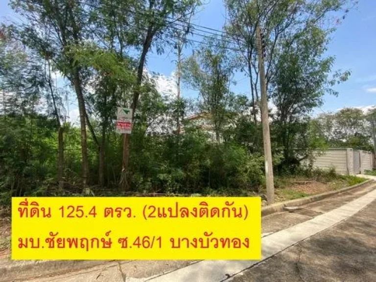 ขายที่ดินใน หมู่บ้านชัยพฤกษ์ ซ461 1254 ตรว 2 แปลง