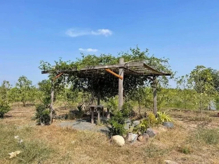 คลอง 9 บ้านพร้อมที่ดิน 5 ไร่ บรรยากาศธรรมชาติมีสวนและบ่อเลี้