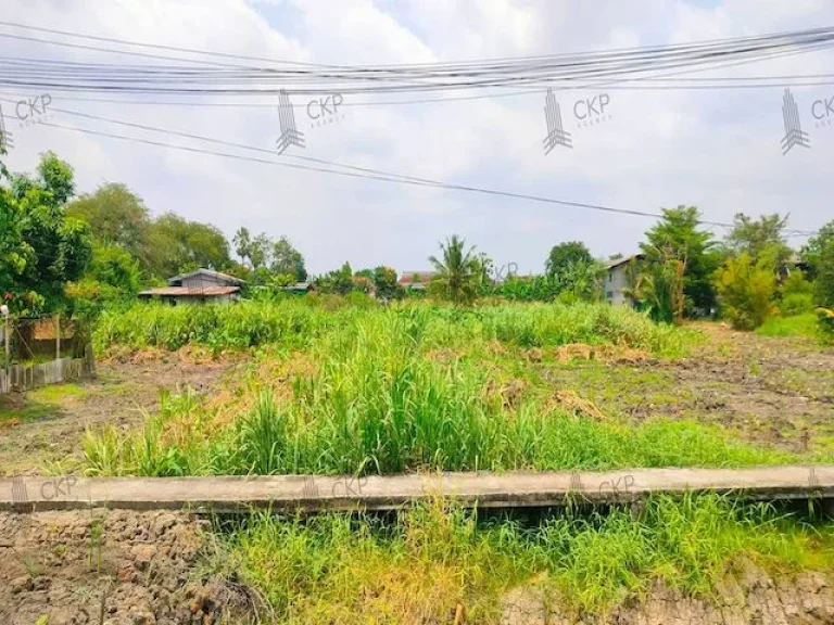 ขาย ที่ดินเปล่า 50 ตรว เหมาะสำหรับสร้างที่อยู่อาศัย