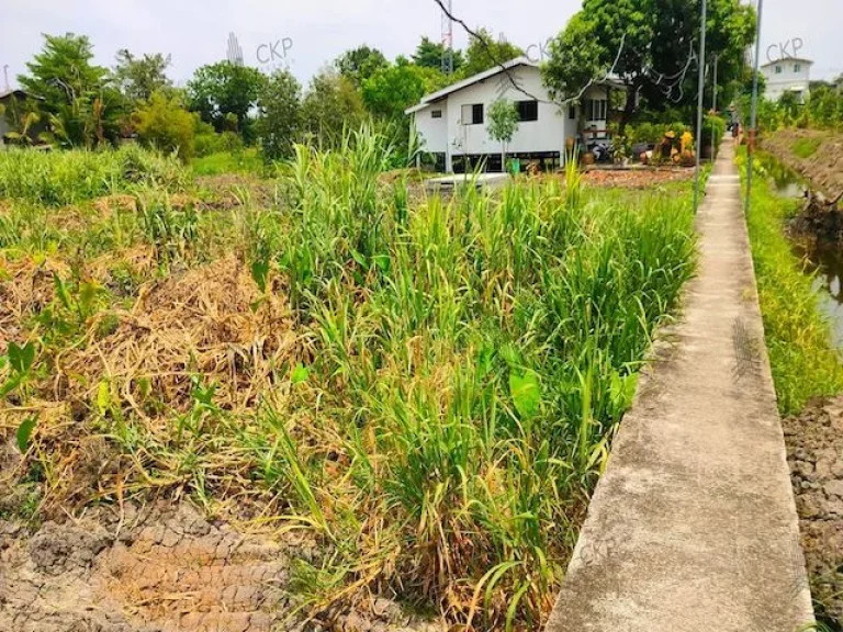 ขาย ที่ดินเปล่า 50 ตรว เหมาะสำหรับสร้างที่อยู่อาศัย