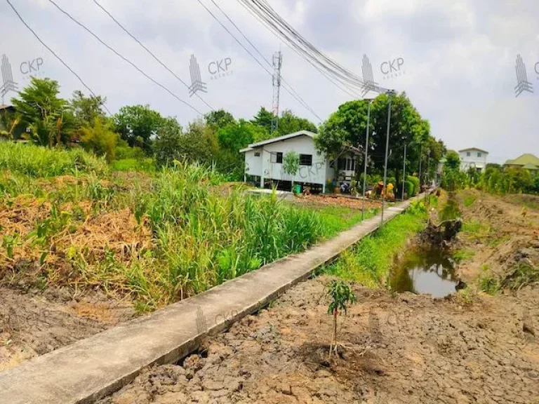 ขาย ที่ดินเปล่า 50 ตรว เหมาะสำหรับสร้างที่อยู่อาศัย