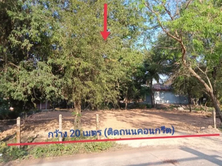 ขายที่ดินถมแล้ว 995 ตรวทางไปบึงชวน บ้านนาพู่ อเพ็ญ