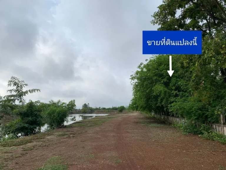 ขายที่ดินสวย ติดคลองน้ำ 1248 ตรว บ้านนาพู่ อเพ็ญ