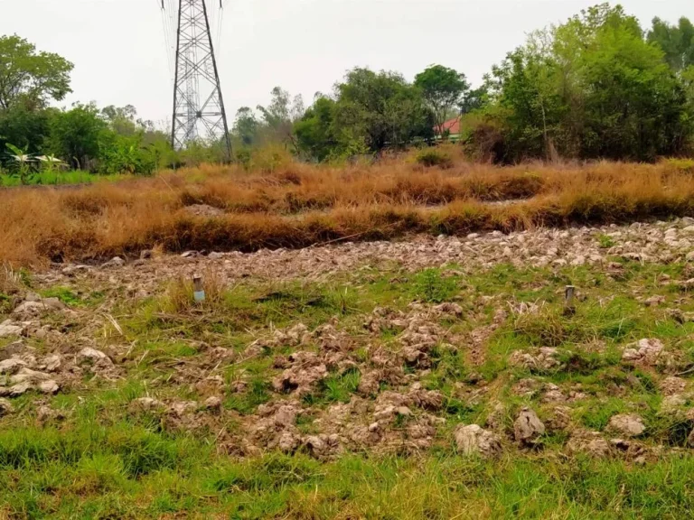 ขายที่ดิน 1-0-17 THB700000 หนองบัว เมือง อุดรธานี