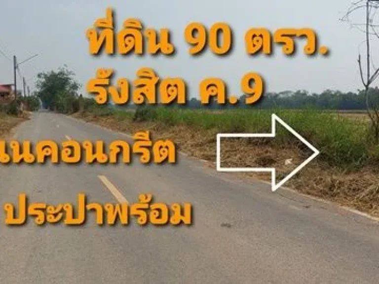 ขายที่ดิน 90 150 ตรวรังสิต-ธัญบุรี คลอง 9 ใกล้โลตัสบิ๊กซี