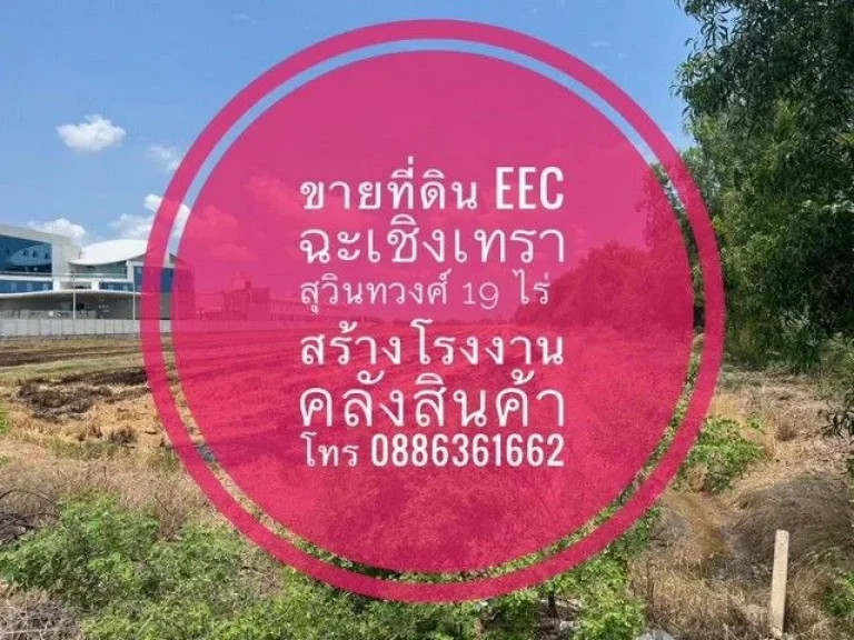 For Sale Land EEC in ChachoengsaoThailand ขายที่ดิน