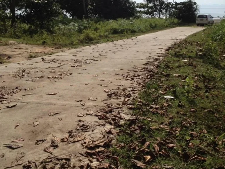 ขายที่ดินติดหาดเกาะลันตา กระบี่ติดหาดทราย