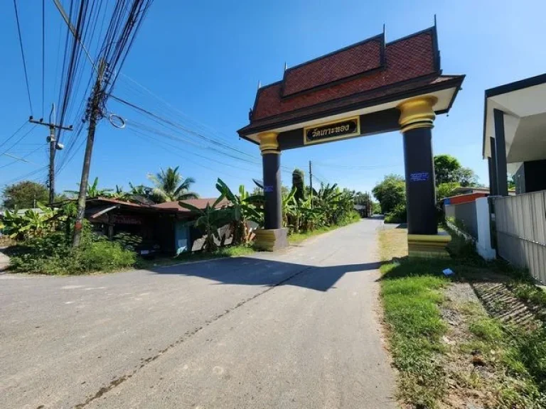 ขายที่ดินแปลงมุม พร้อมอาคารไม้สัก ขนาด 20 ไร่ ตรงข้าม