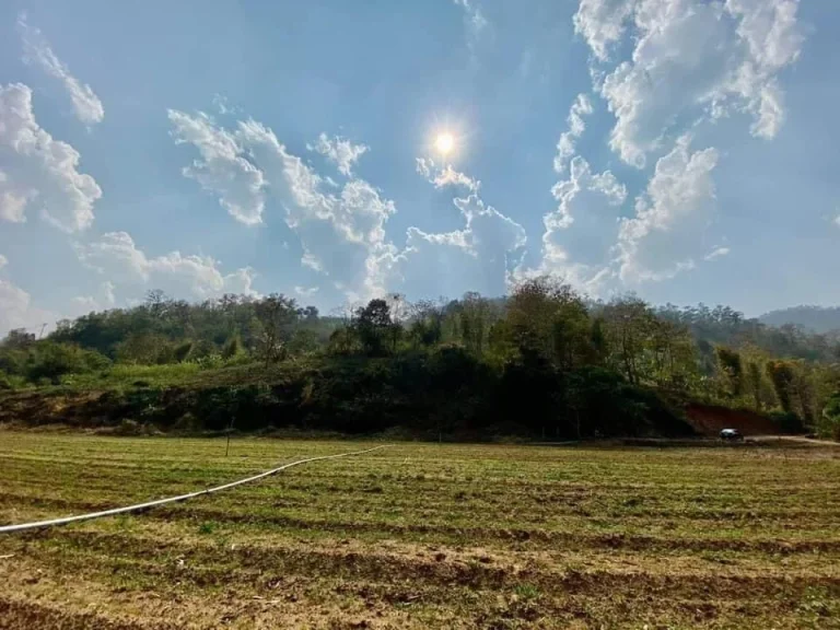 ที่ดินติดลำธาร ธรรมชาติสุดๆ บ้านน้ำริน อสะเมิง จเชียงใหม่