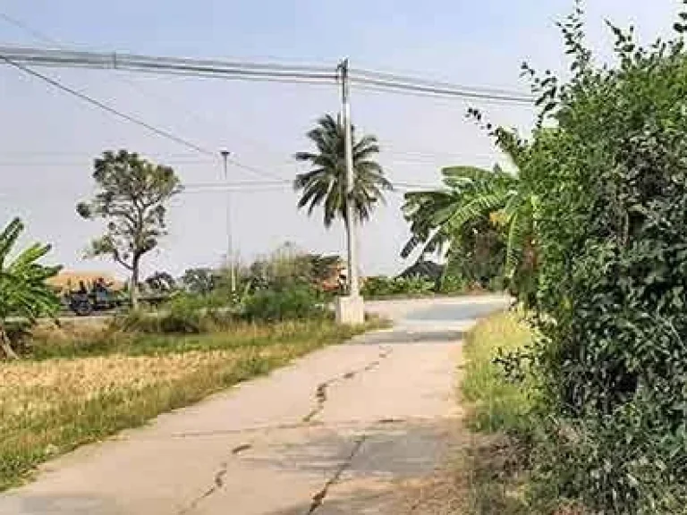 ขายที่ดินริมแม่น้ำท่าจีน มดแดง ศรีประจันต์ สุพรรณบุรี