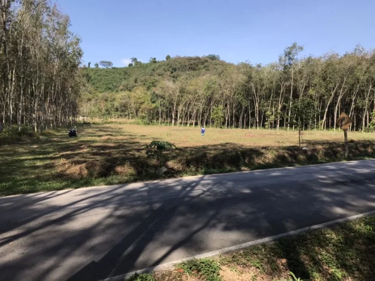 ขายที่ดินสวย วิวภูเขา ตน้ำน้อย ใกล้ทั้งเมืองหาดใหญ่