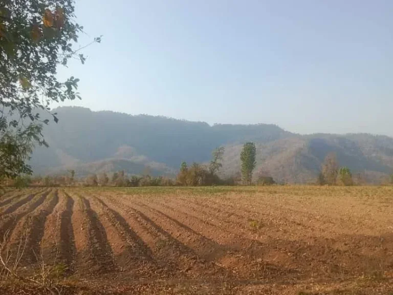 ที่ดินแปลงสวย วิวสวย ติดถนนสายหลัก ราคาถูก อน้ำปาด อุตรดิตถ์