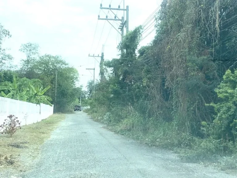 ขายที่ดินติดมหาวิทยาลัยเทคโนโลยีสุรนารี ตสุรนารี