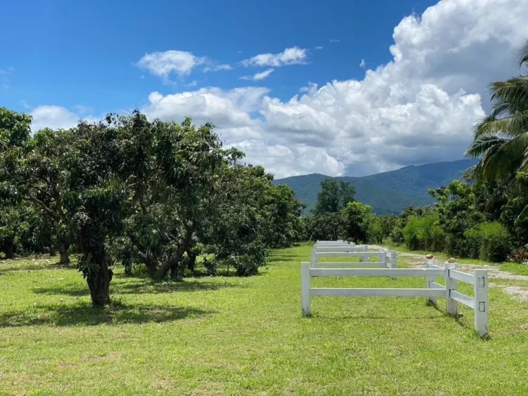 ขายที่ดินวิวสวยธรรมชาติ เริ่ม 81ตรวจอมทอง เชียงใหม่