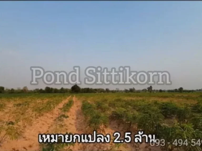 ขายที่ดินถูกกว่าชาวบ้าน 10 ไร่ 2500000 บ บึงอ้อ