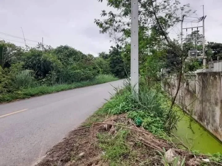 ขายที่ดินหางดงสันผักหวานติดถนนค้าขายได้โฉนดพร้อมโอน