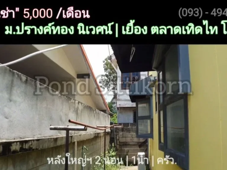 บ้านว่าง ให้ เช่า 5000 บ เดือน 60 วา