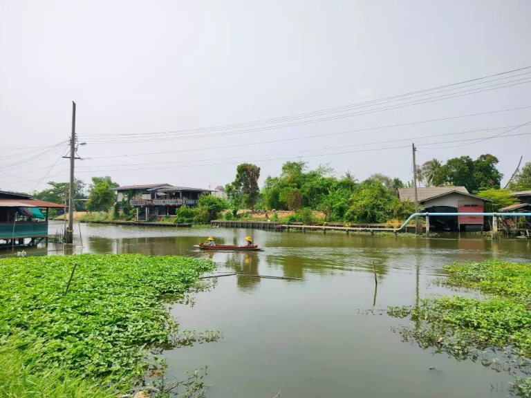 ที่ดินติดคลองบางใหญ่ถมแล้ว หน้ากว้าง 30 เมตร สวย