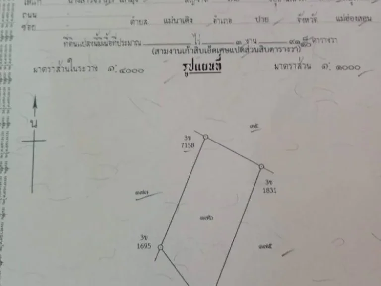 ขายที่ดินโฉนด 1 ไร่ อปาย ตแม่นาเติง อปาย จแม่ฮ่องสอน