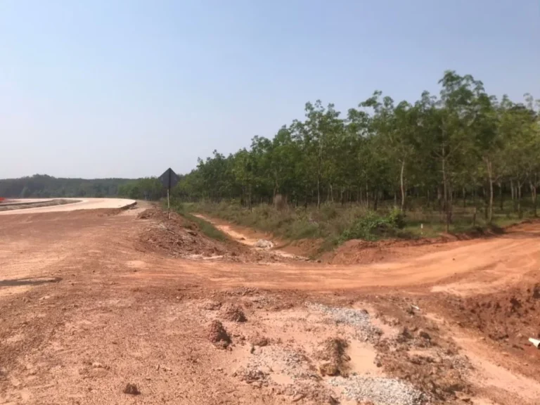 ขายที่ดินใกล้สะพานมิตรภาพไทยลาว จังหวัดบึงกาฬ ขนาด 104 ไร่