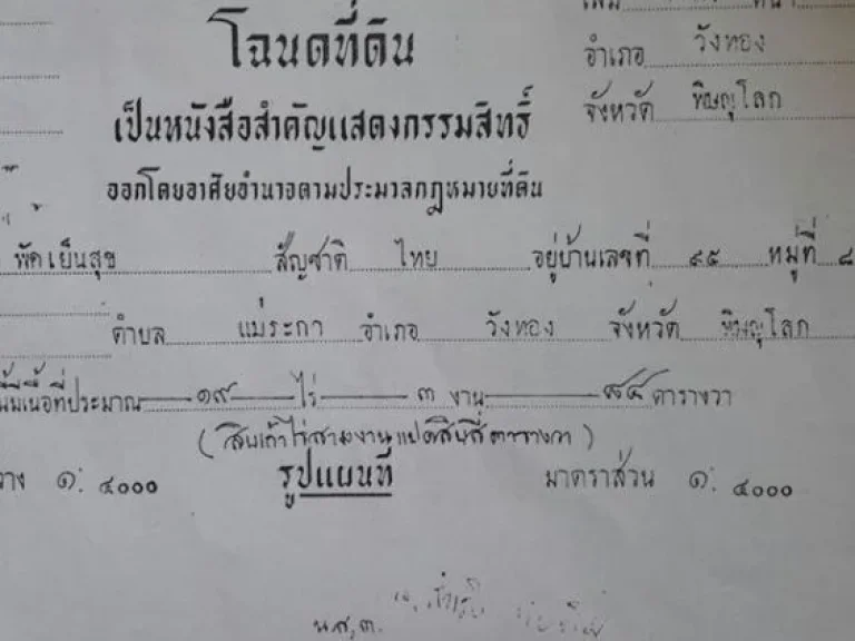 ขายที่ดิน 19 ไร่กว่า ตแม่ระกา อวังทอง จพิษณุโลก