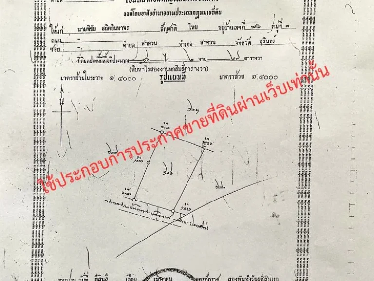 ขายที่ดินติดถนนสุรินทร์-สังขะ อำเภอลำดวน จังหวัดสุรินทร์ 15