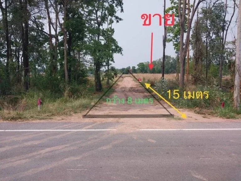 ้องการขายที่ดิน ภบท5 ในชุมชน ตำบลไชยมงคล อำเภอเมือง