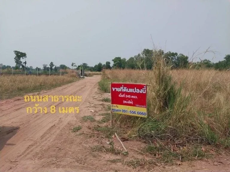 ้องการขายที่ดิน ภบท5 ในชุมชน ตำบลไชยมงคล อำเภอเมือง