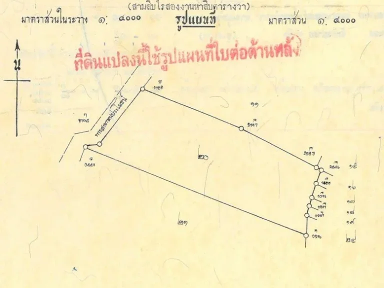 ขายด่วน ราคาถูก ที่ดินเปล่า นาหูกวาง ทับสะแก ประจวบคีรีขันธ์