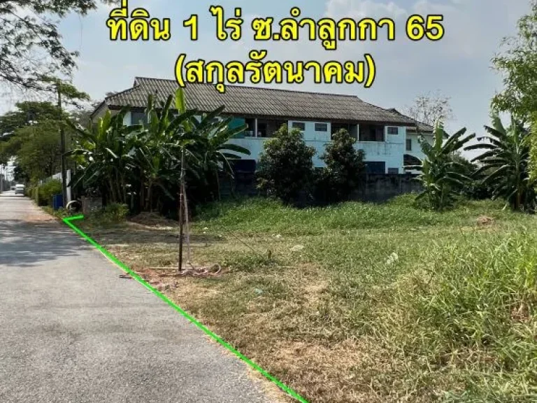 ขายที่ดิน 400 ว้า ซลำลูกกา 65 สร้างโกดังโรงงานได้